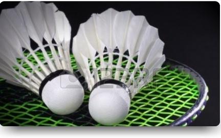Badmintonda İl Birinciliği